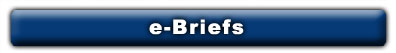 e-Briefs: Business