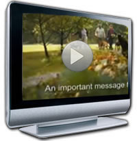 Presentation image